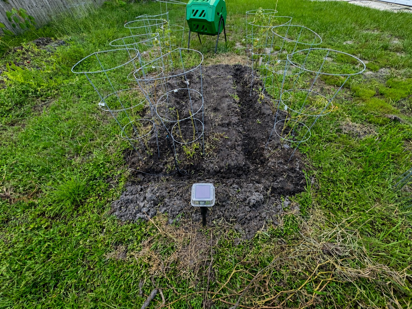 ESP32 node, breadboard and the three wetness plates